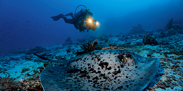 Особенности фотосъемки в подводной археологии