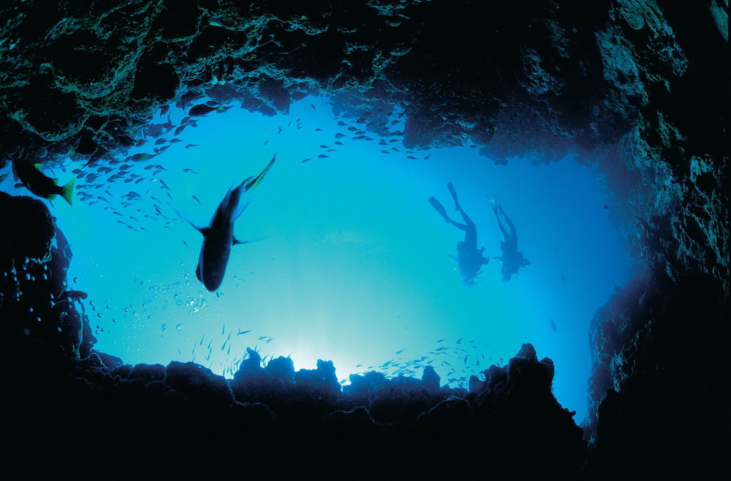UNESCO Diving Sites