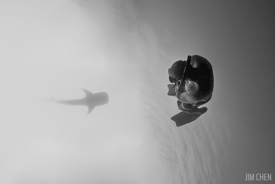 Scuba Diving magazine Underwater Photo Contest 2016