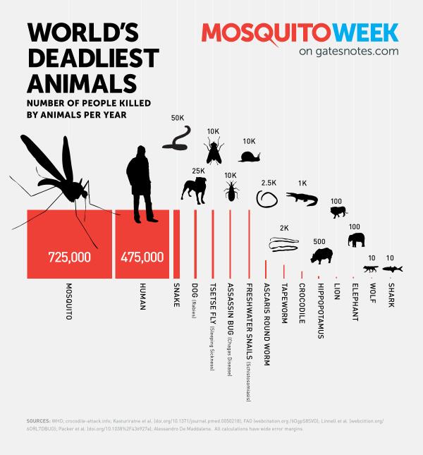 most-deadly-animals.jpg