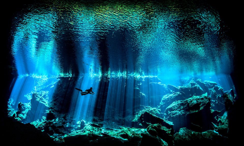 Underwater Photographer of the Year 2017