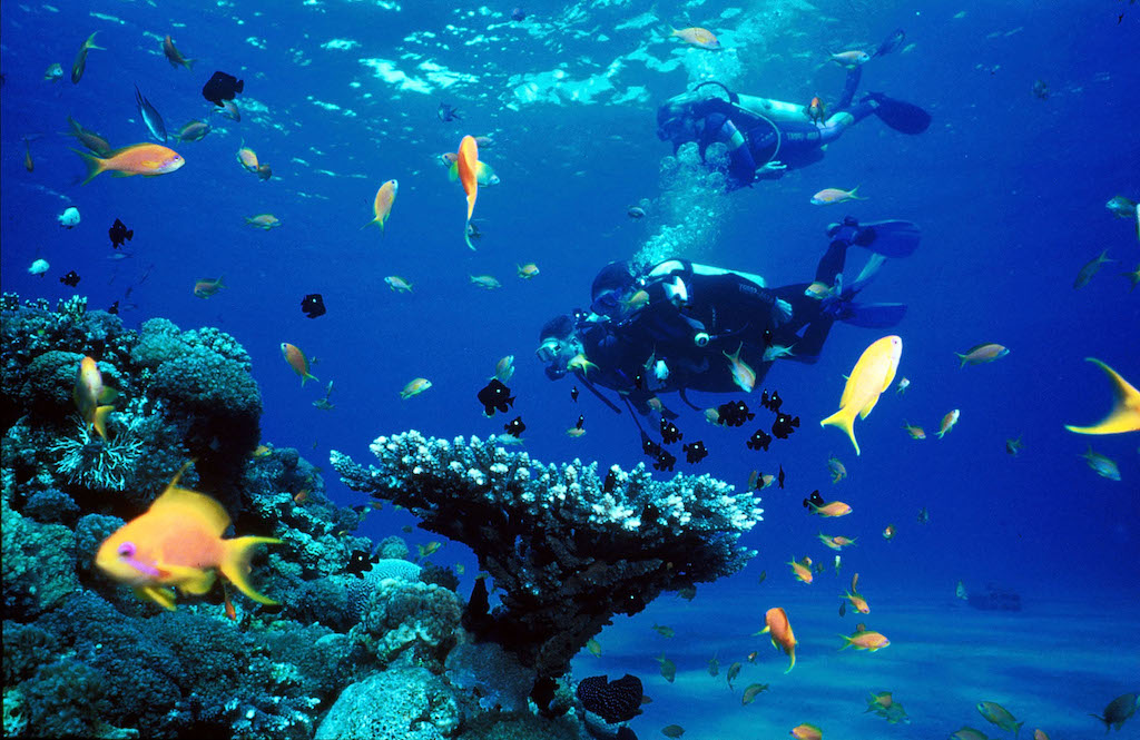 UNESCO Diving Sites