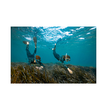 Гидрокостюм BEUCHAT Atoll BZ, 2 мм, мужской