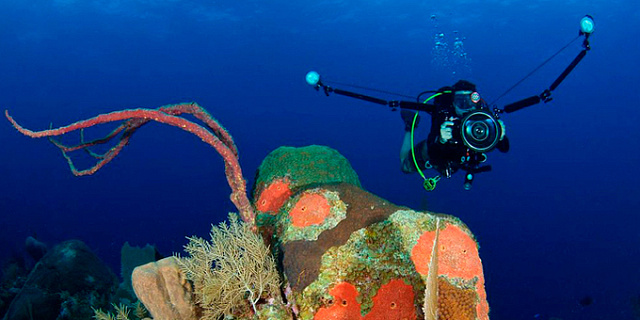Лучшие места для подводной фотографии по версии Readers Choice