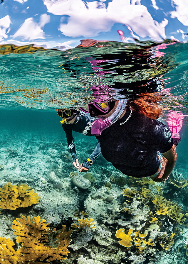 Снаряжение для дайвинга divers.ru